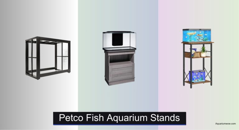 7 Best Aquarium Stands for Fish Tanks 2026