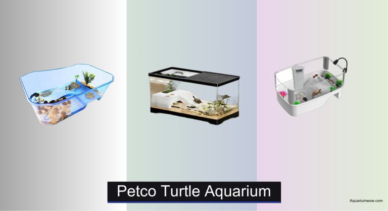 7 Best Petco Turtle Aquariums of 2026