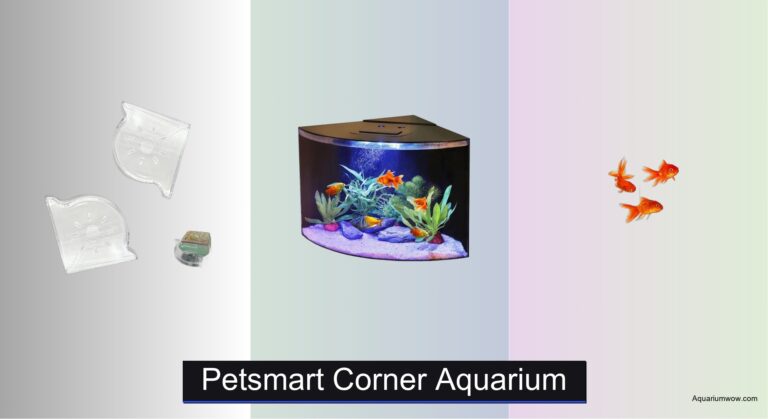 3 Best Petsmart Corner Aquariums of 2026