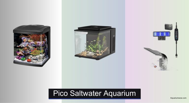 9 Best Pico Saltwater Aquariums of 2026