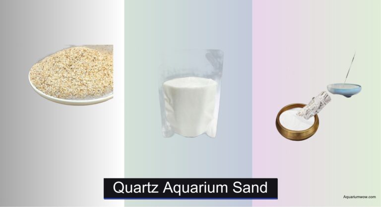 4 Best Quartz Aquarium Sands of 2026
