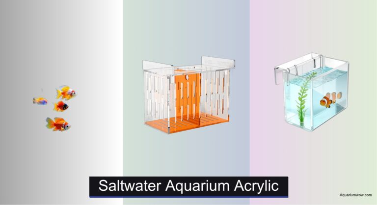 5 Best Saltwater Aquarium Acrylic Tanks of 2026