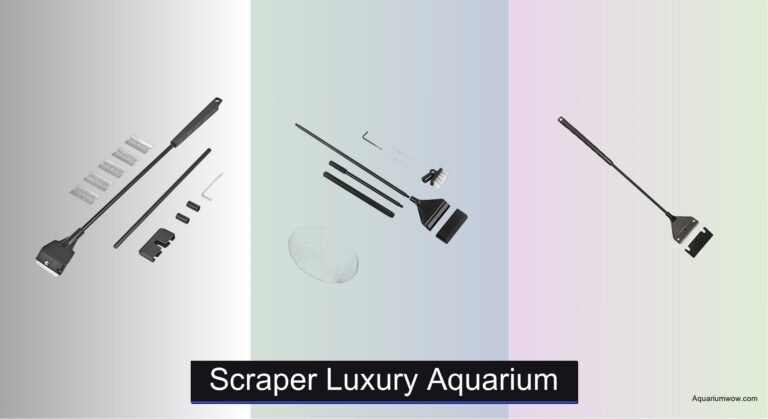 7 Best Luxury Aquarium Scrapers 2026