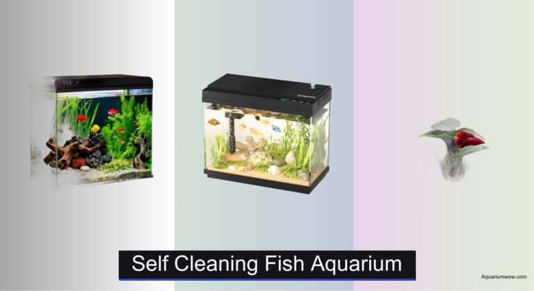 8 Best Self Cleaning Fish Aquariums of 2026