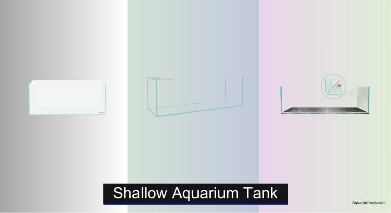 7 Best Shallow Aquarium Tanks of 2026