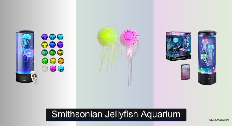 5 Best Smithsonian Jellyfish Aquariums of 2026
