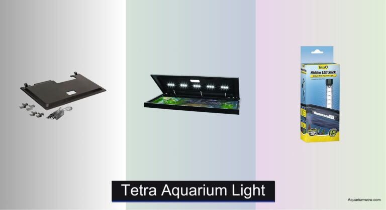 3 Best Tetra Aquarium Lights of 2026