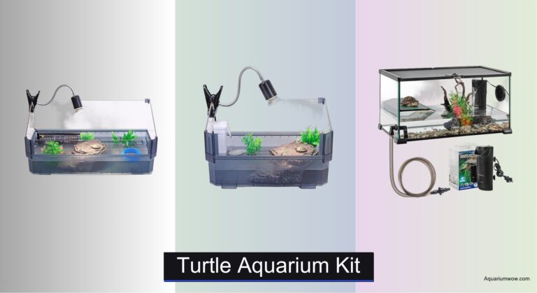 6 Best Turtle Aquarium Kits of 2026
