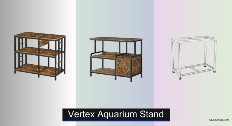 5 Best Aquarium Stands of 2026