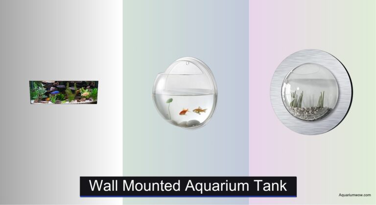 8 Best Wall Mounted Aquarium Tanks of 2026
