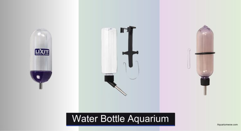 4 Best Water Bottles for Aquariums 2026