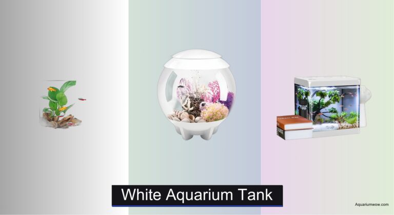 7 Best White Aquarium Tanks of 2026